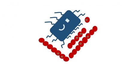 Me and my microbes